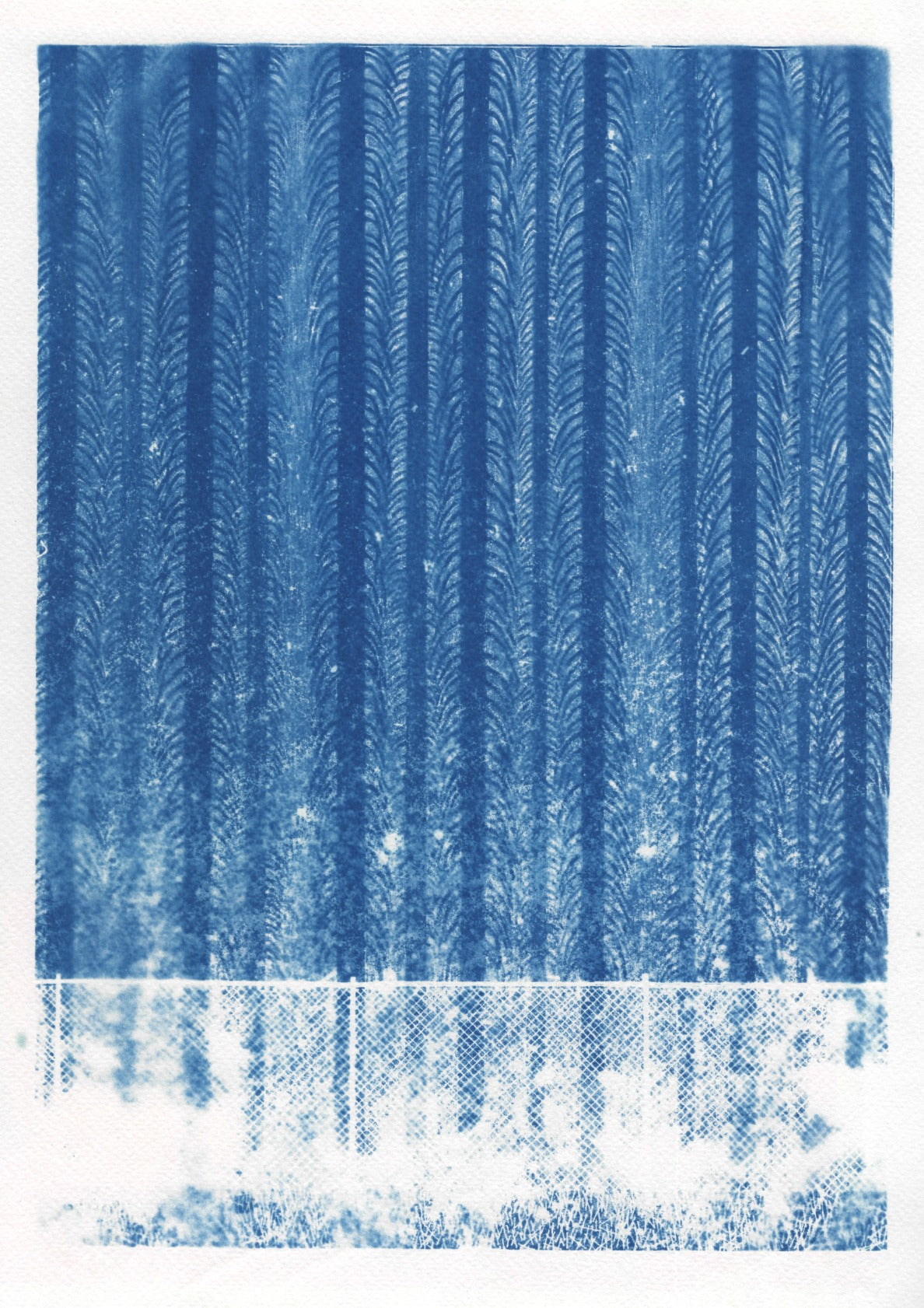 Cyanotype Landscape 2