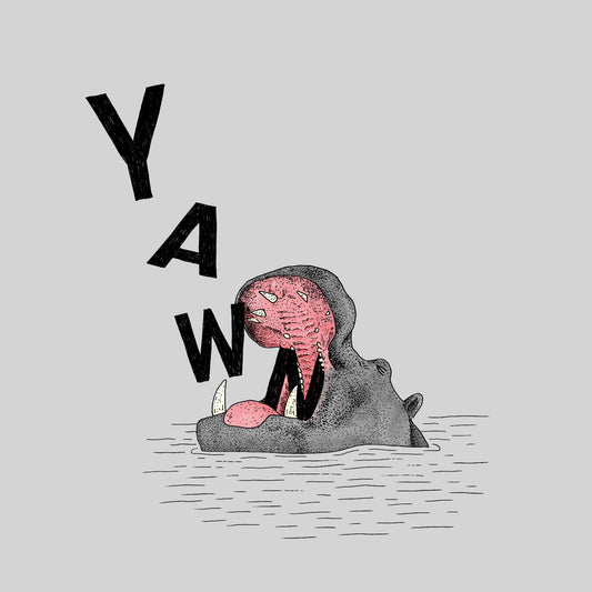 Yawning Hippo