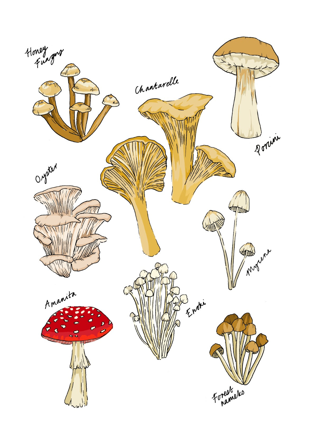 Mushroom Party