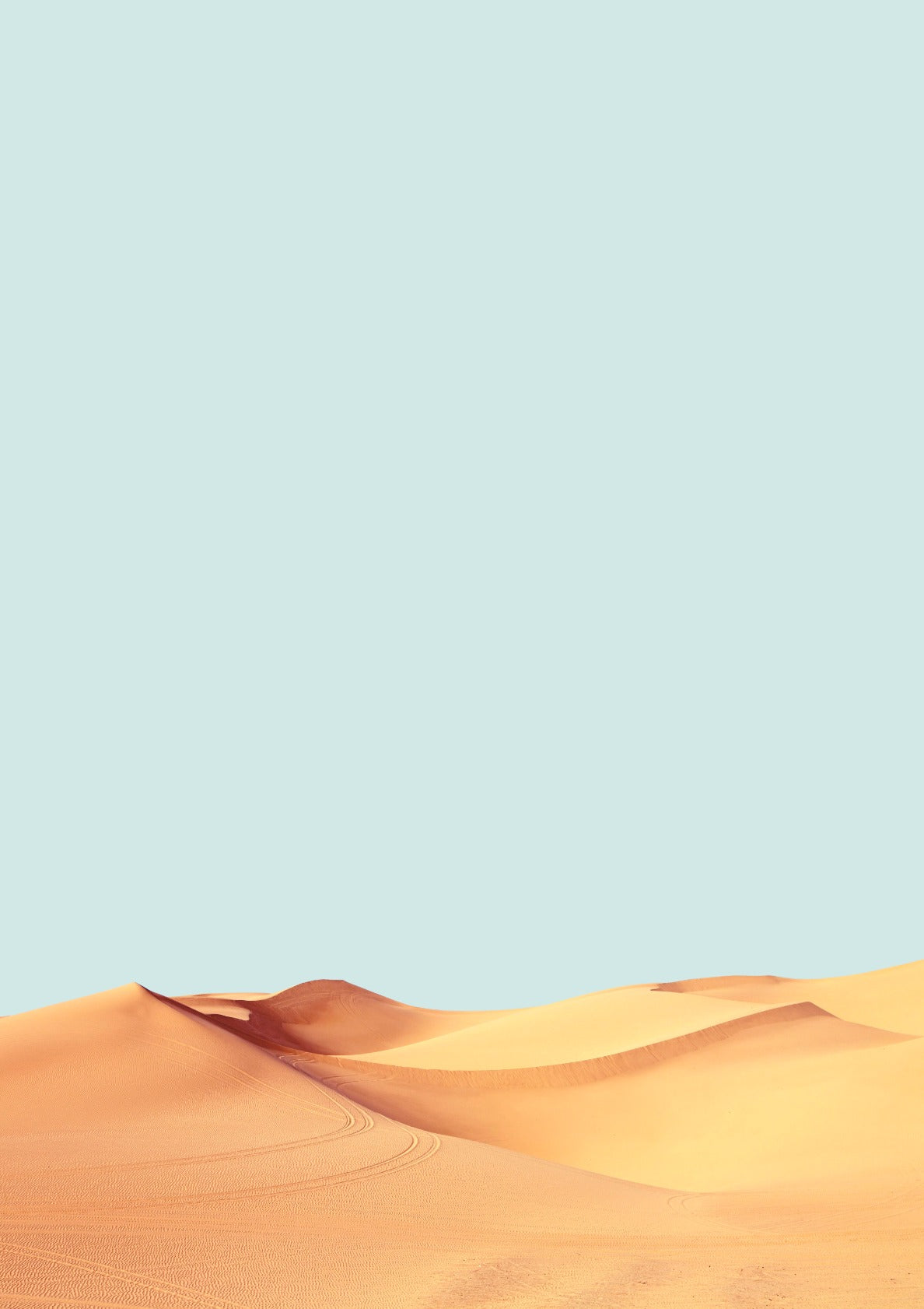 Minimalist desert 1
