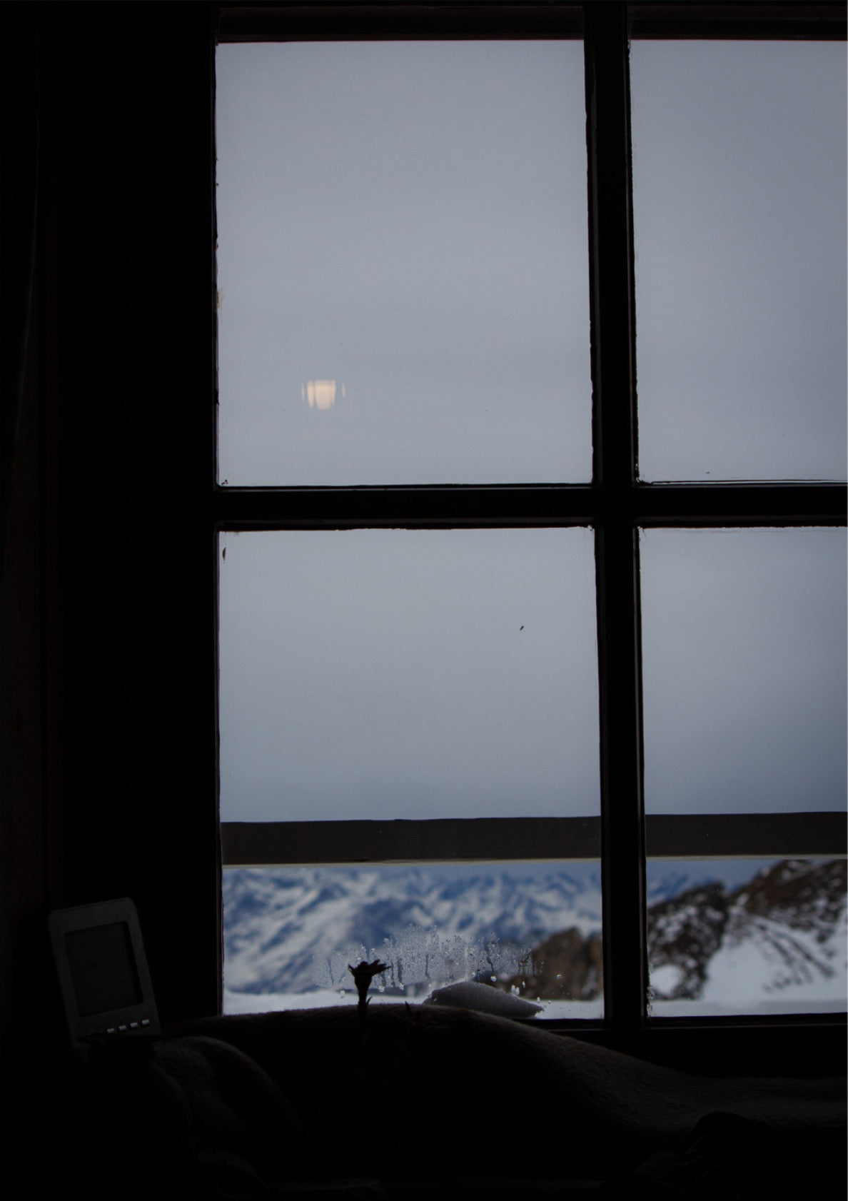 Framed by Winter Silence