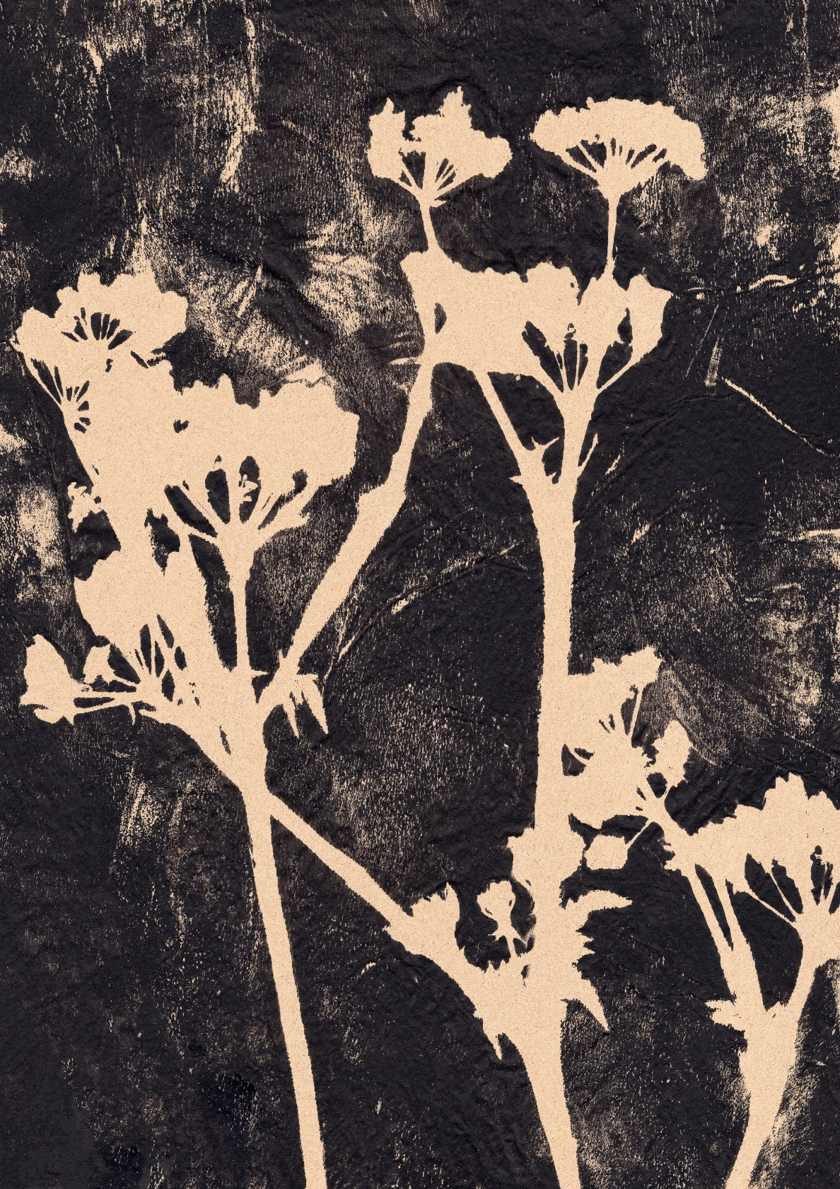 White flowers on black.