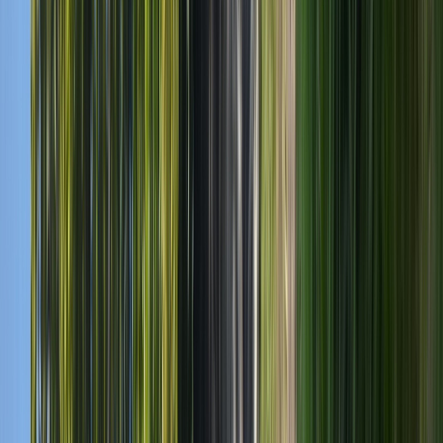 the stripes of the day · green