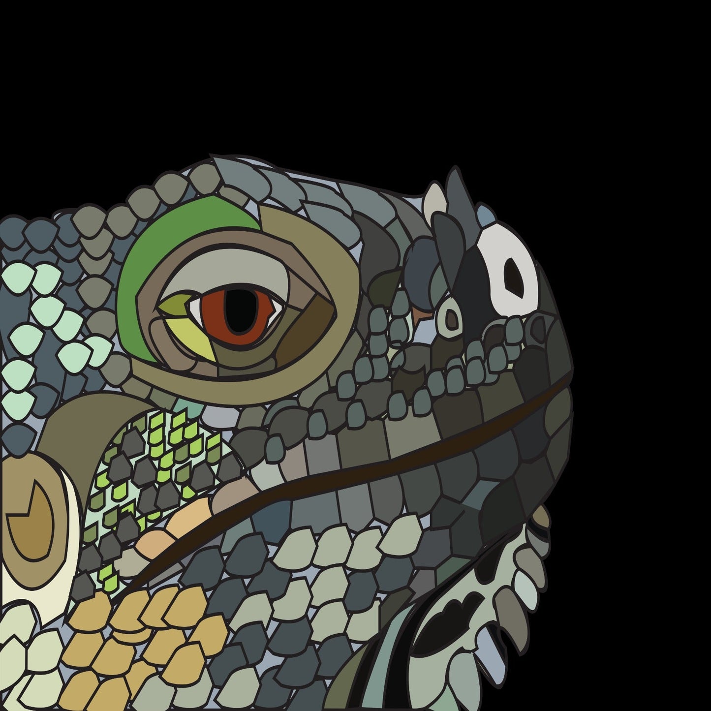 Iguana Lizard Animal Iguana