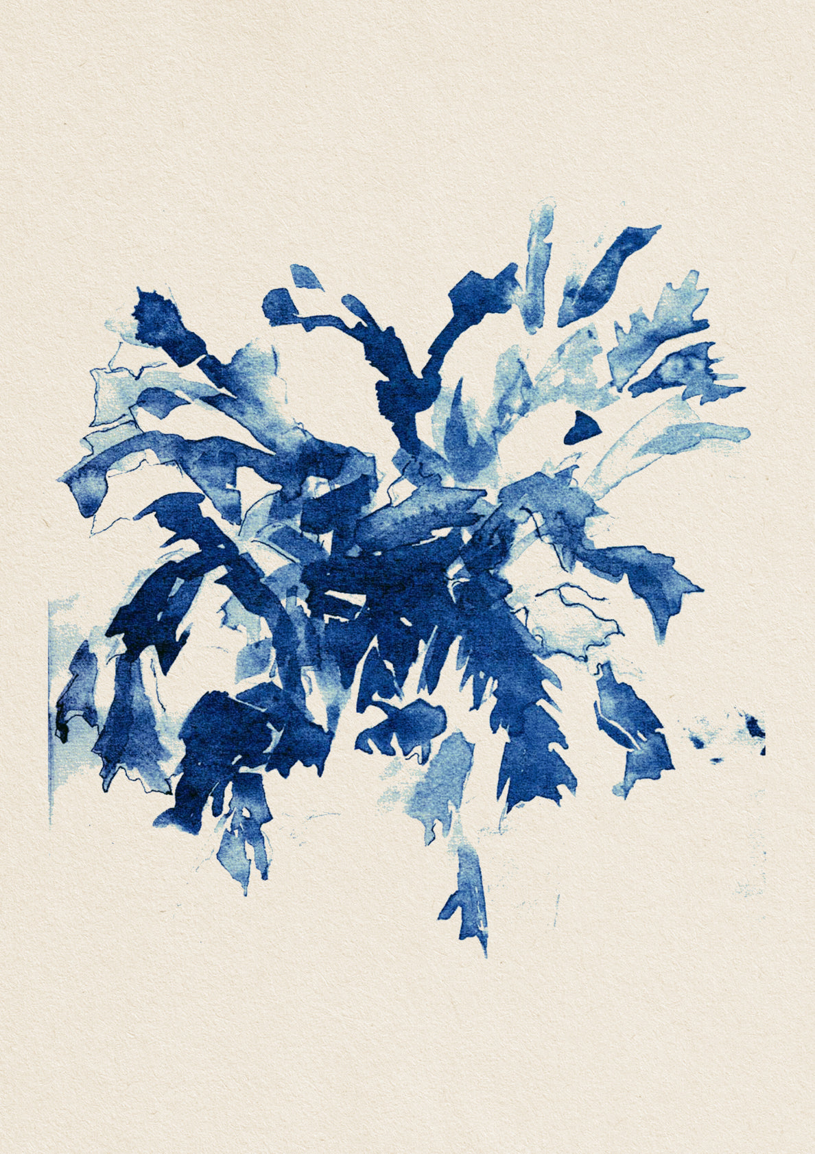 Desert Flora Series 001