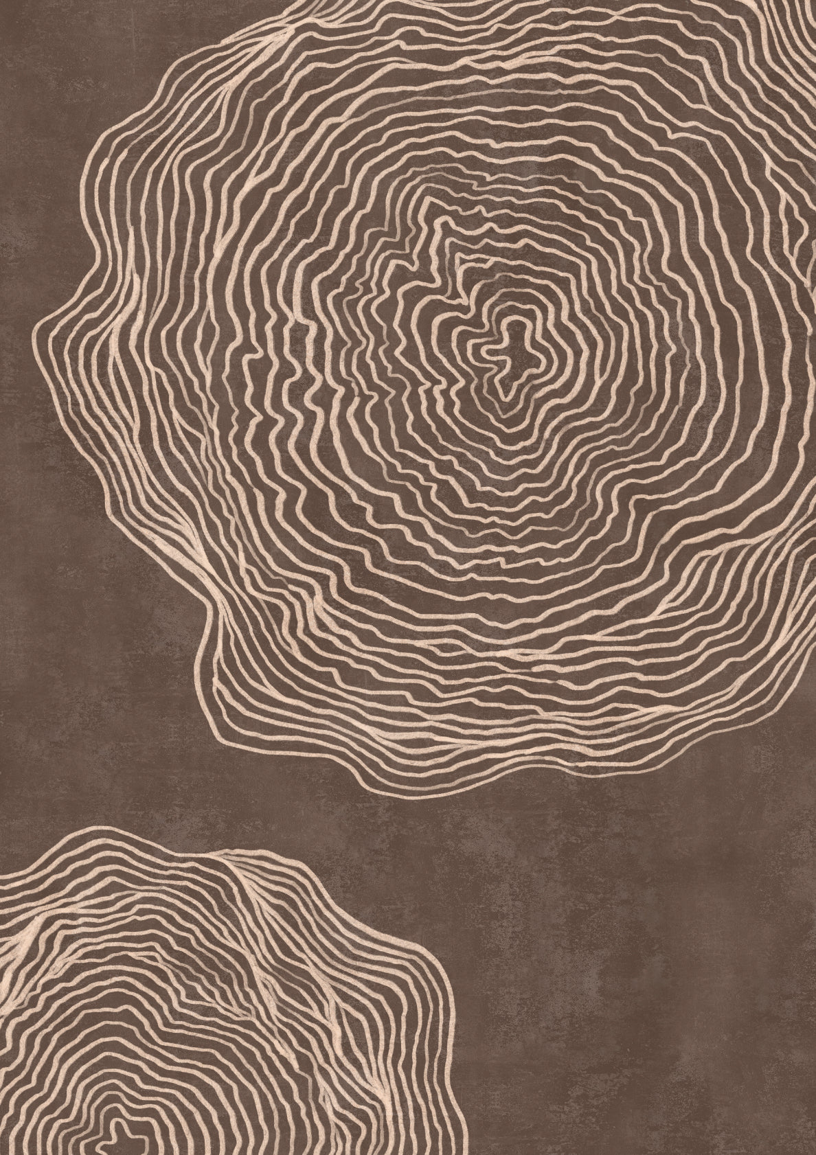 Trees Have Stories 02