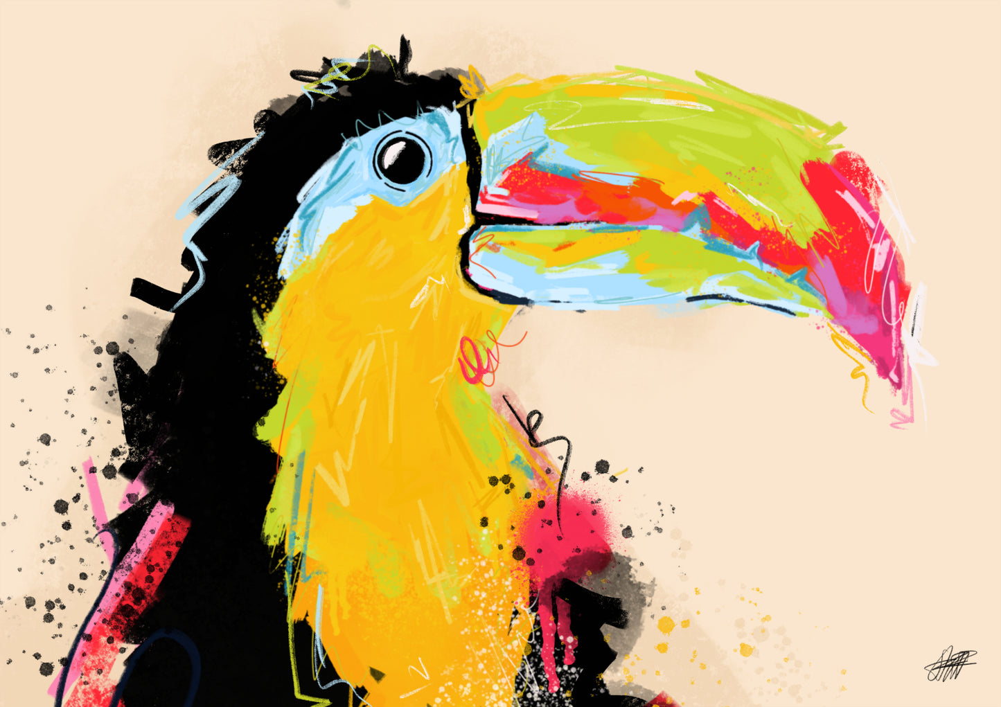 Toucan