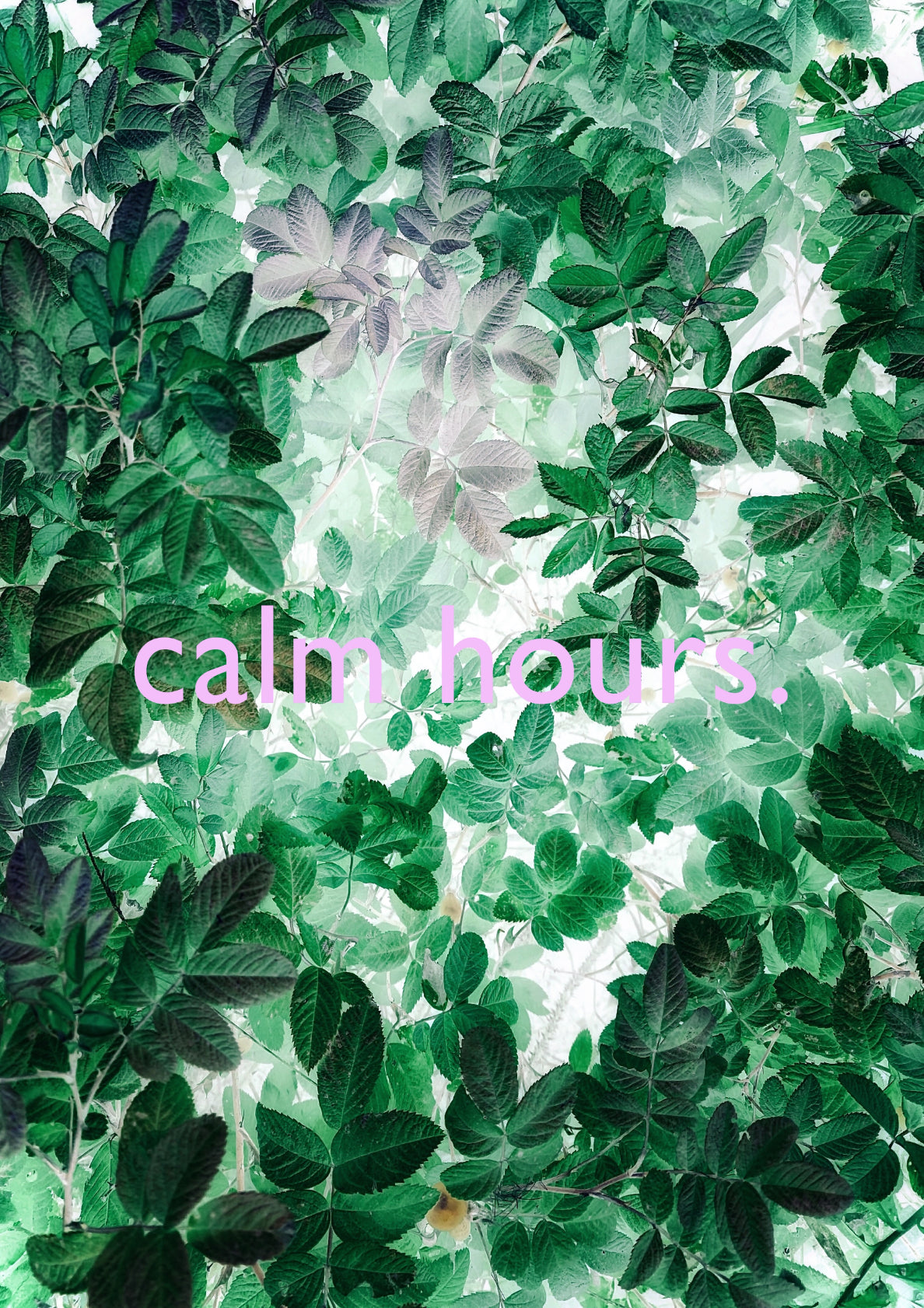 calm hours. / natural