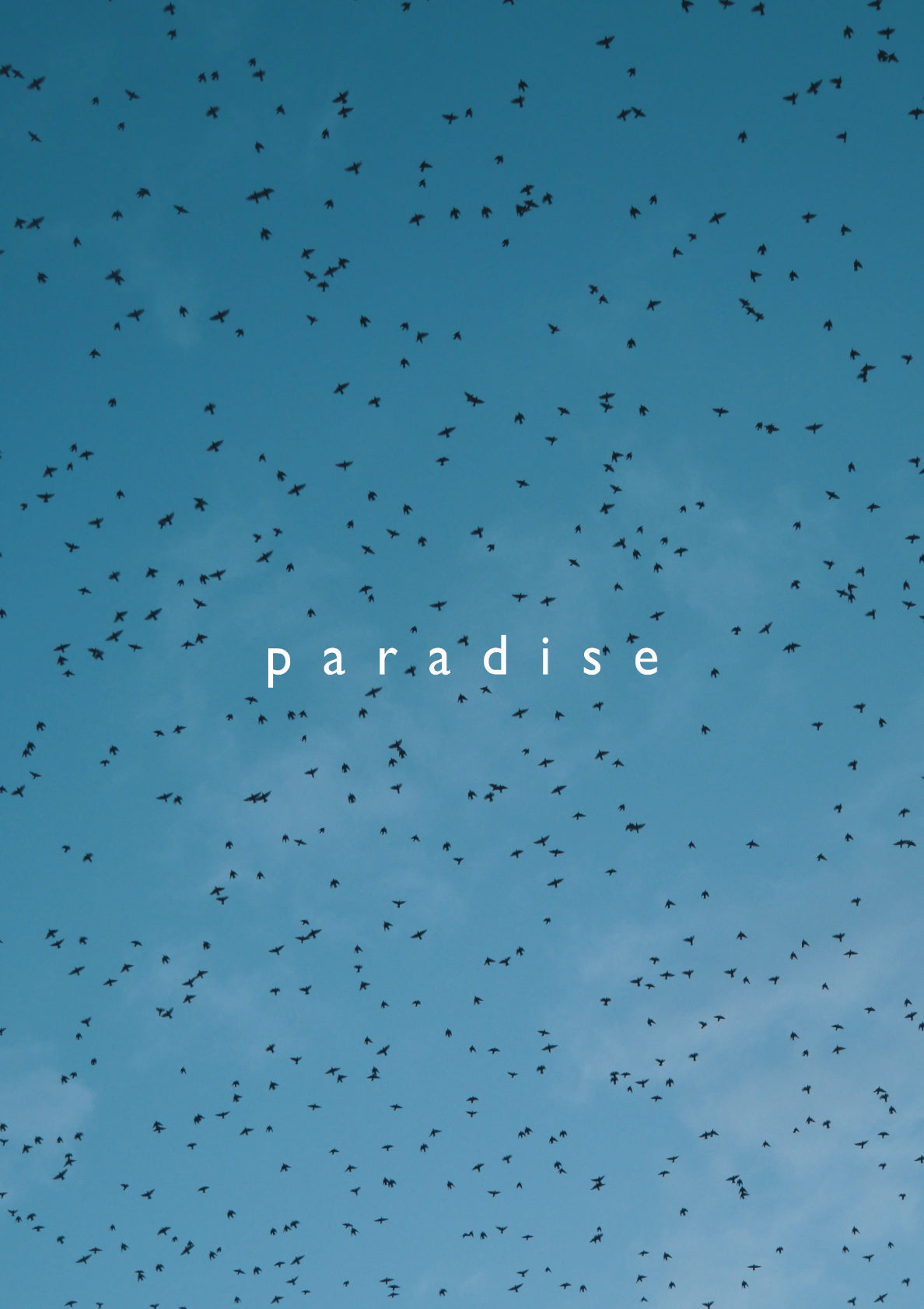 paradise