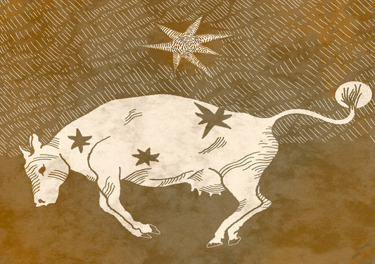 Cow Under A Star