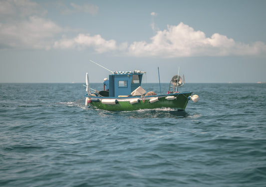 Masaniello's Solitude