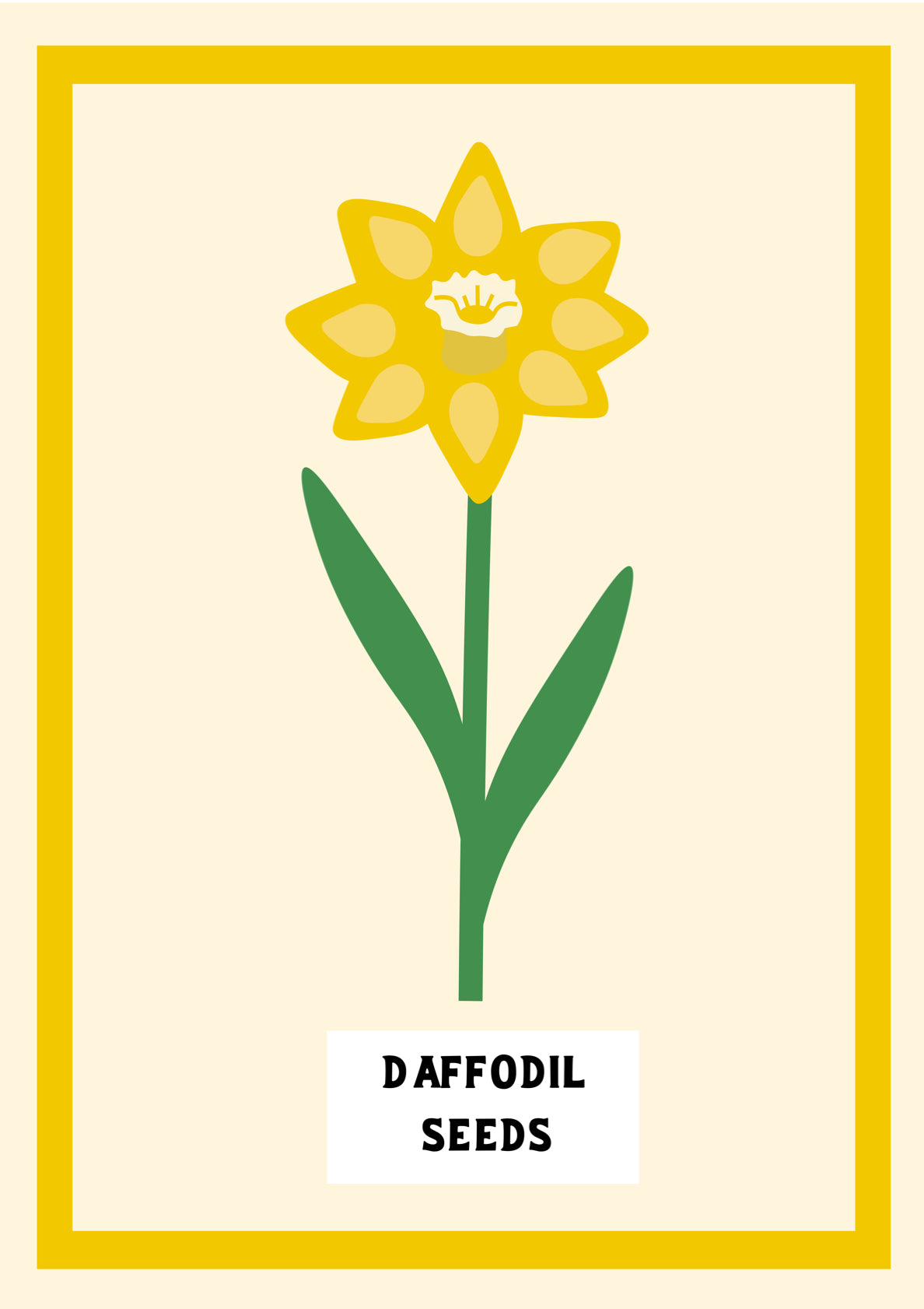 Daffodil Seeds