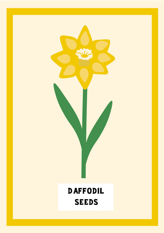 Daffodil Seeds