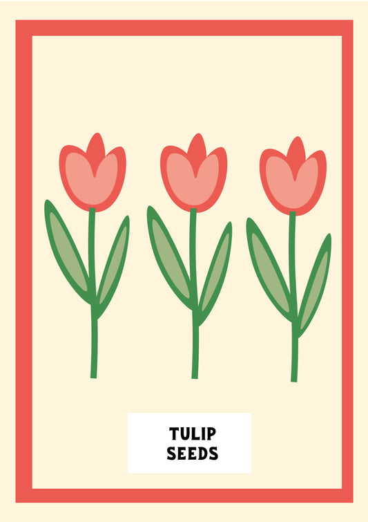 Tulip Seeds