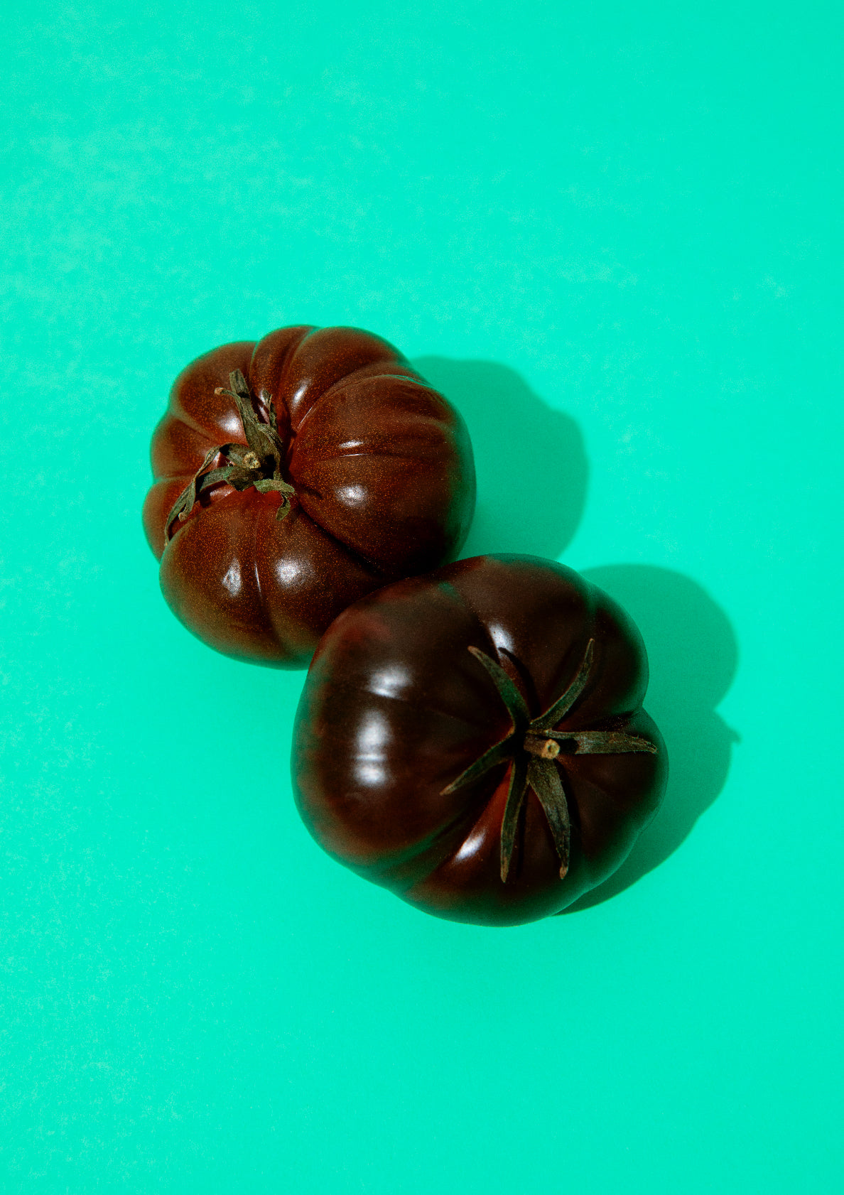 Black tomatoes in mint green background / pop art style photo print