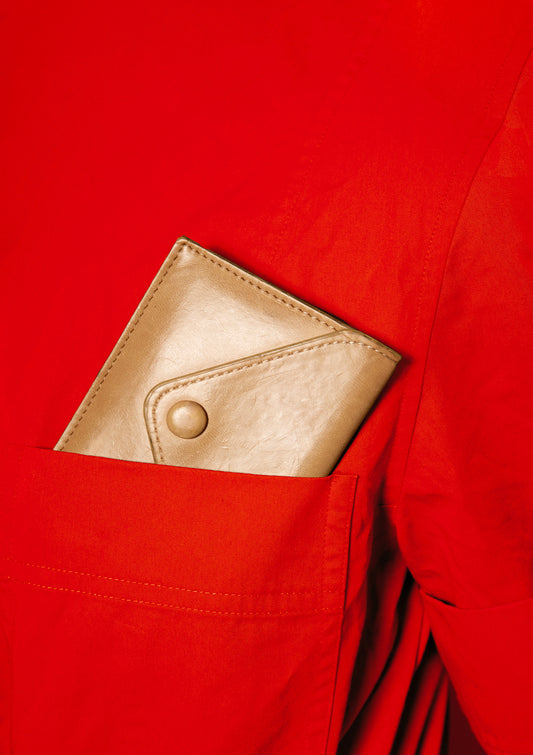 Beige wallet in a red pocket / pop art style photo print