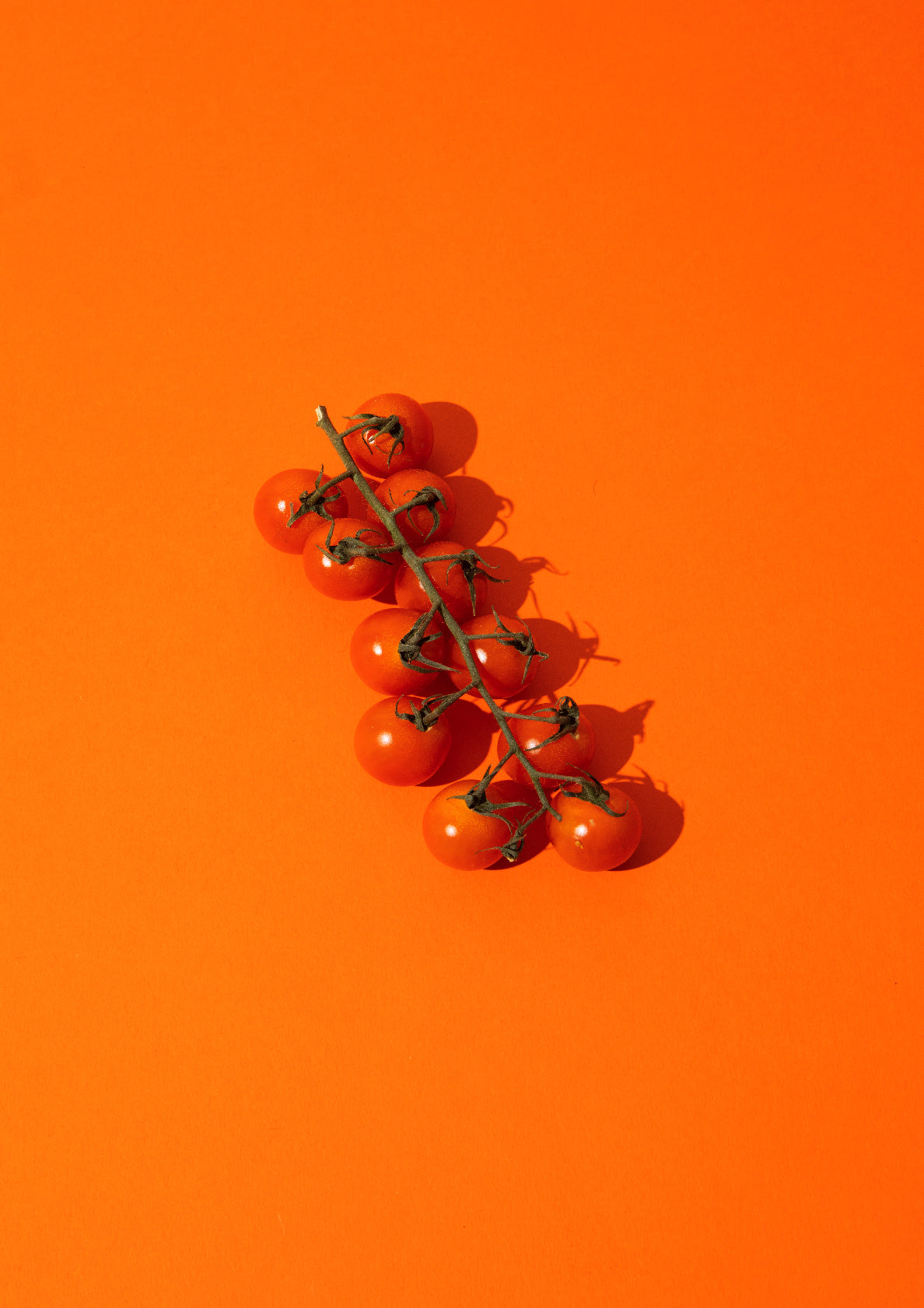 Red cherry tomatoes / pop art style photo print
