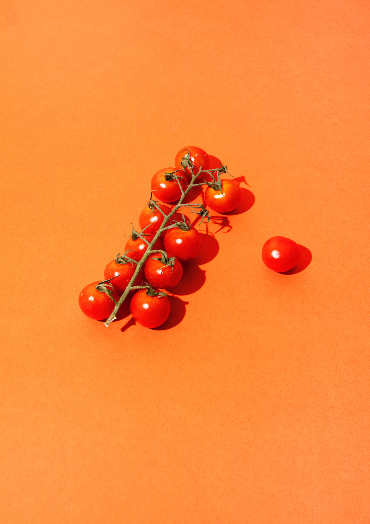 Red cherry tomatoes / pop art style photo print