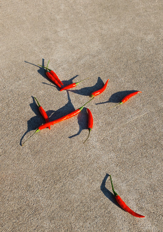 Spicy chilis / minimal style photo print