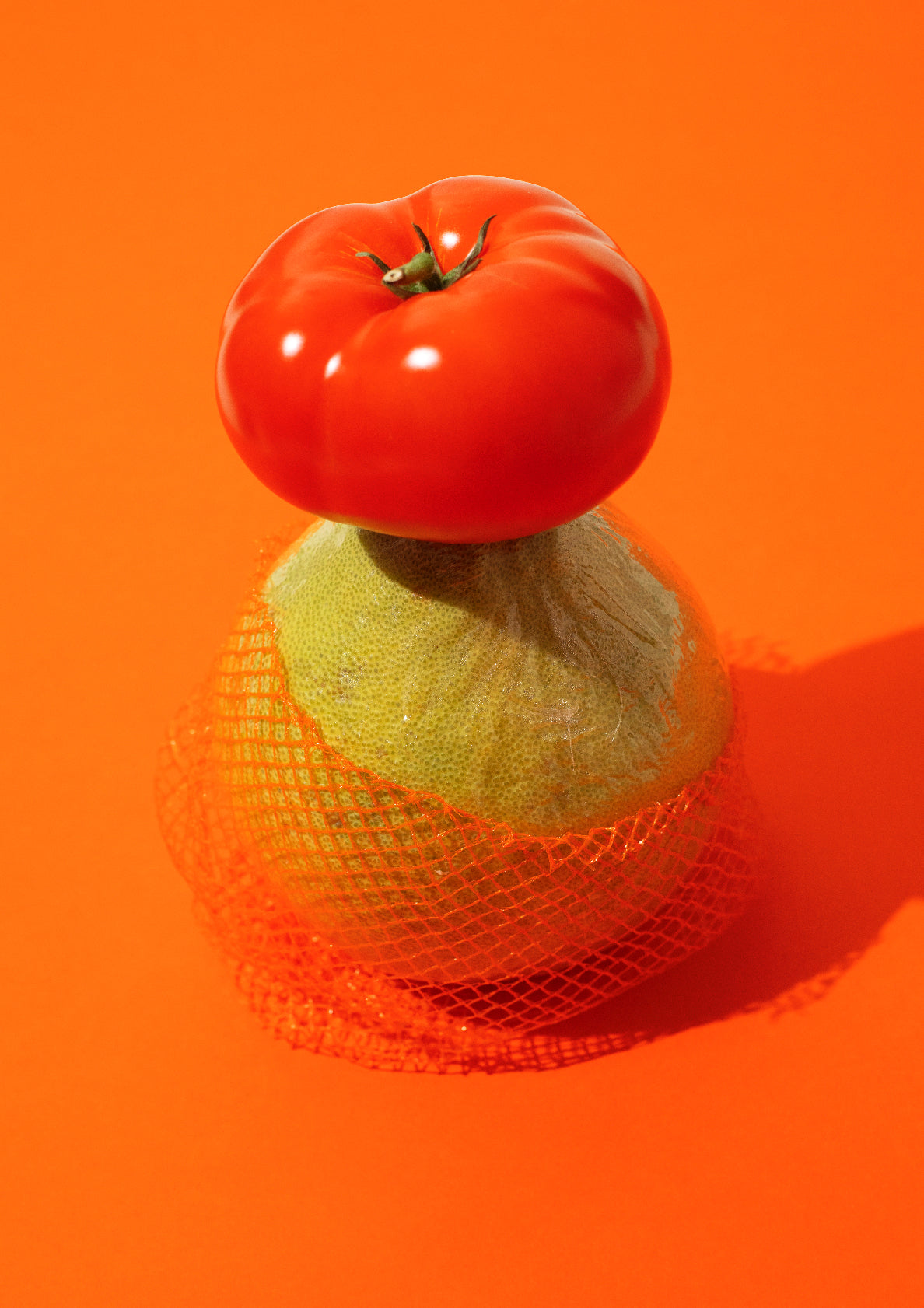 Fruit assembly / pop art style photo print