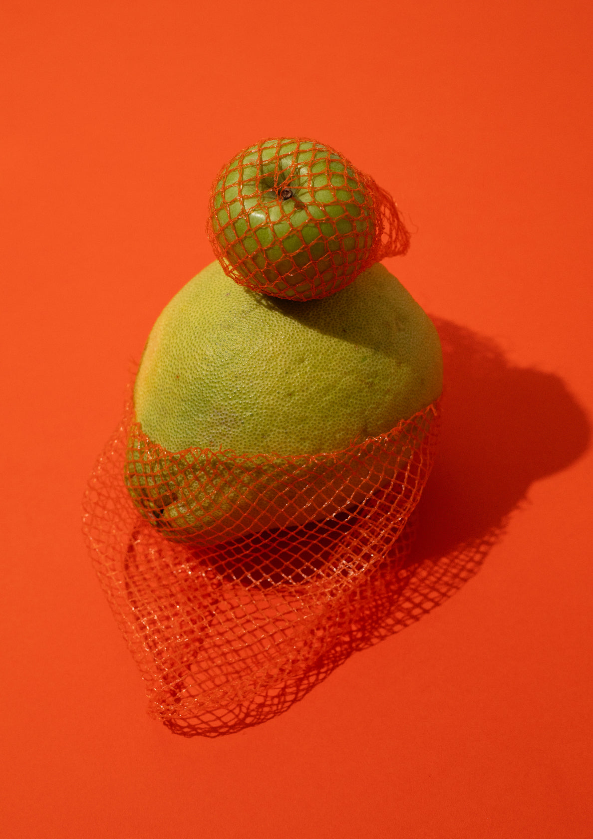 Fruit assembly / pop art style photo print