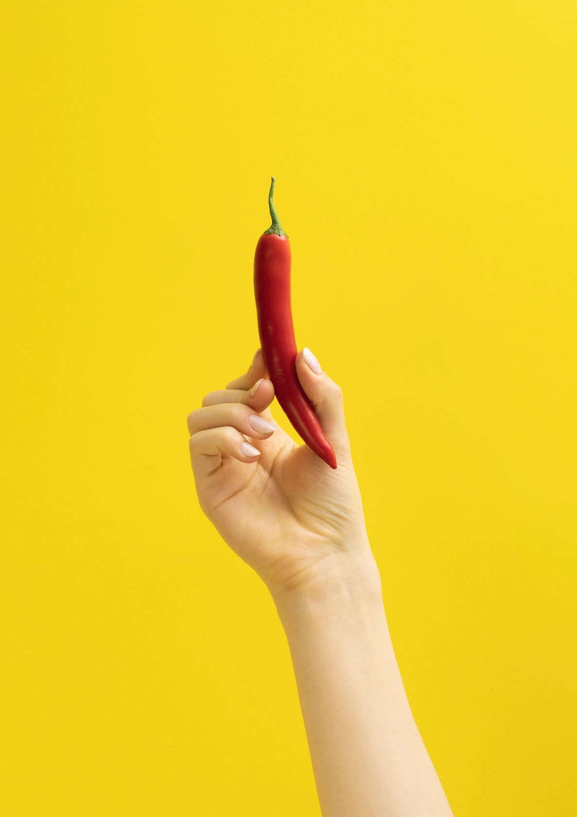 Hand holding chili / pop art style photo print