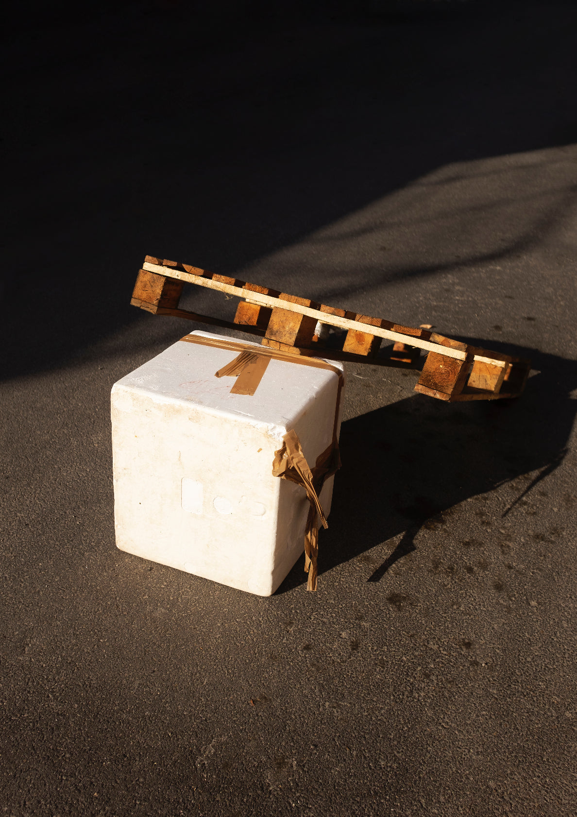 Stuff & sunset / minimal style photo print