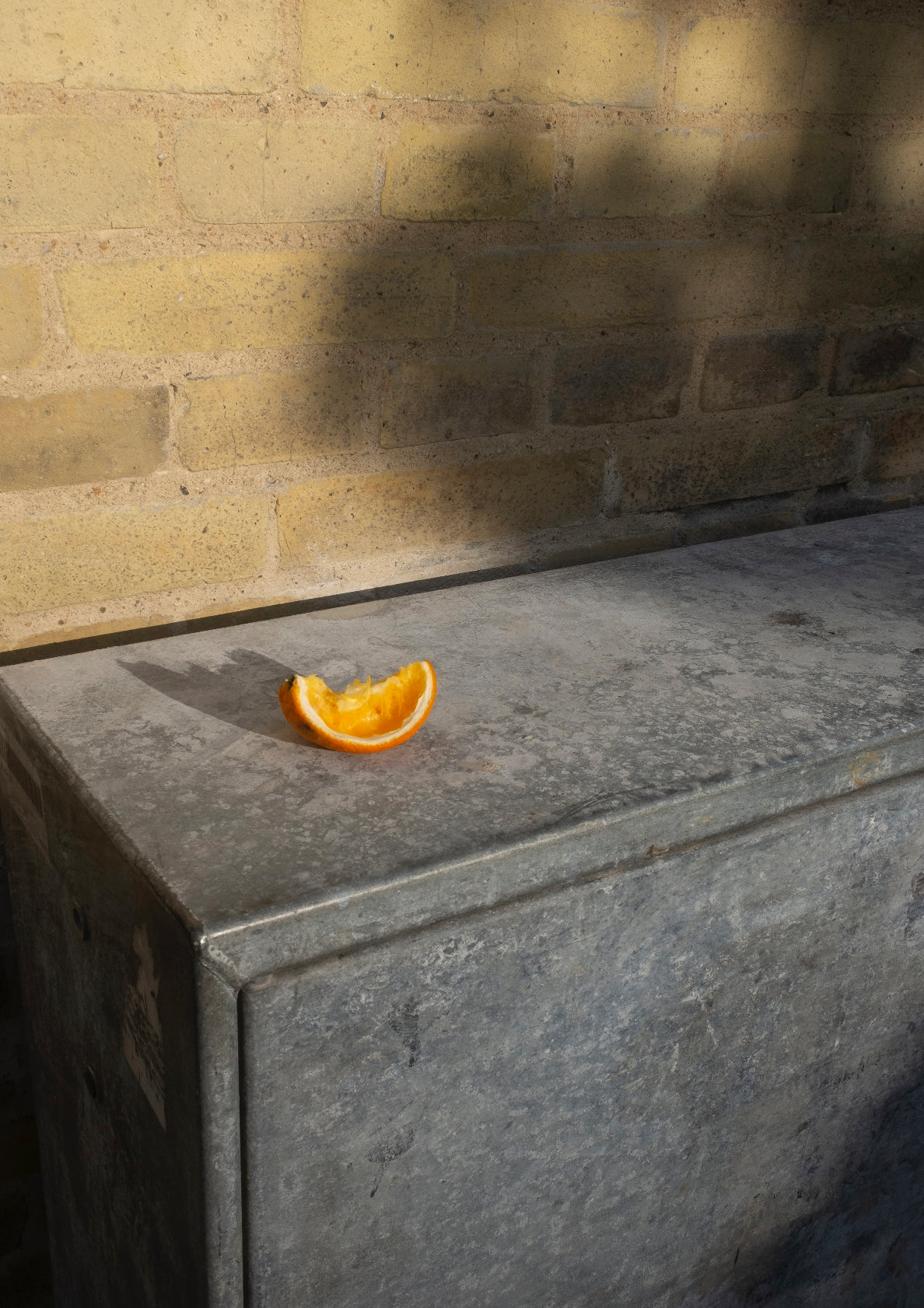 Tropical orange slice / minimal style photo print