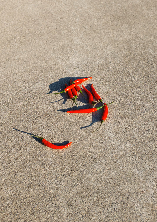 Red chilis / minimal style photo print