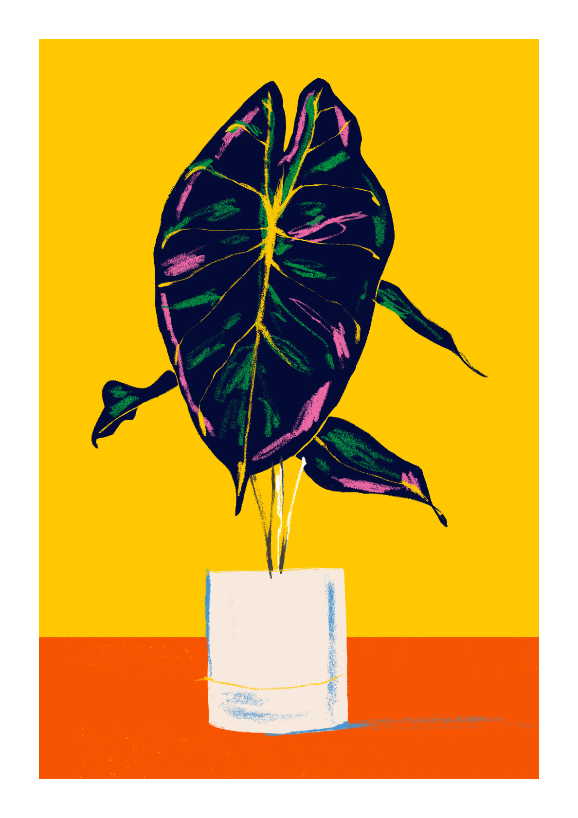 Alocasia Pink Dragon in a Pot Yellow