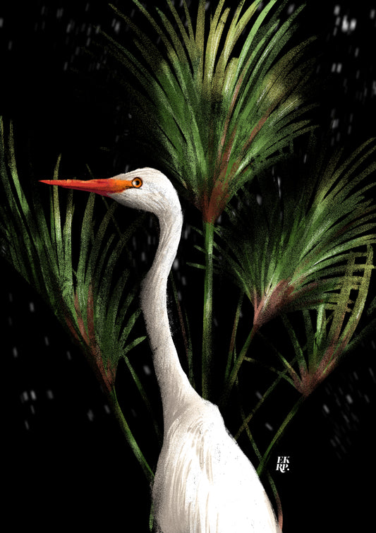 Great white egret