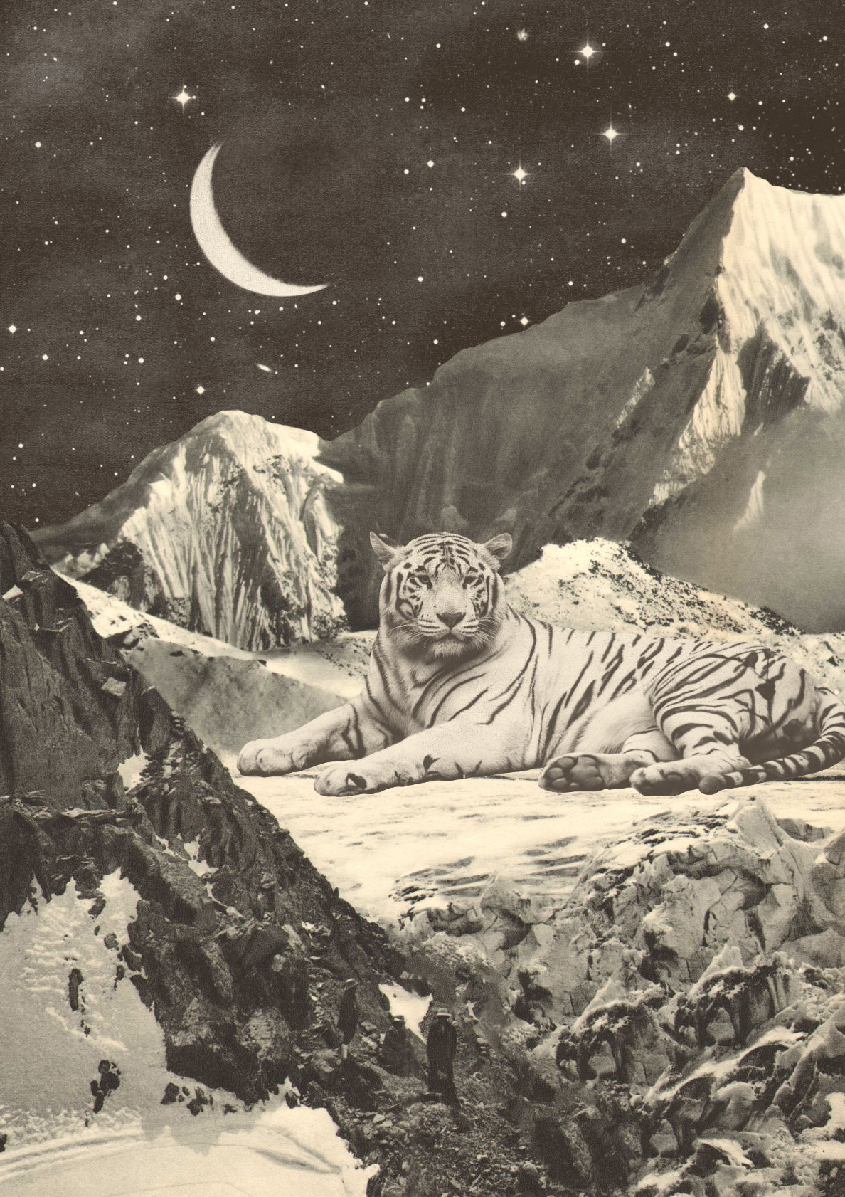 Nap of the White Tiger at Moonlight