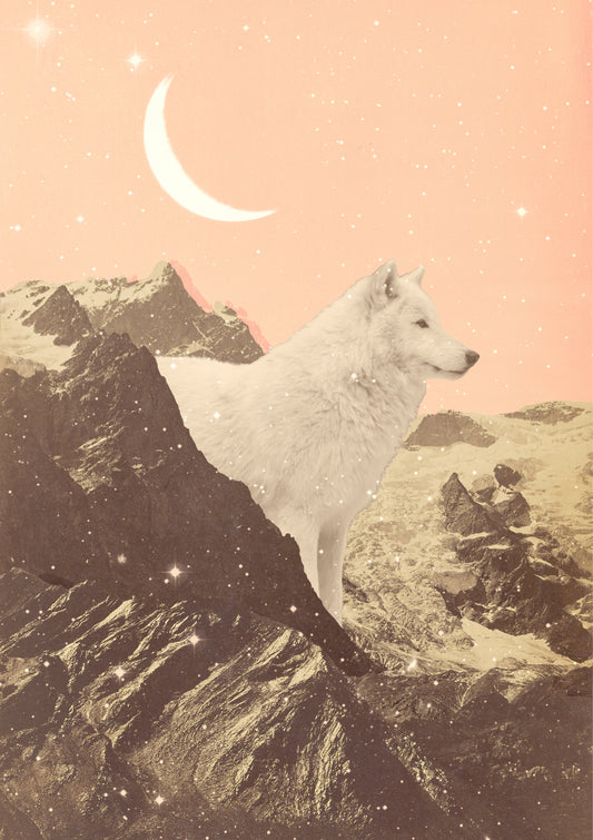 Giant White Wolf in Mountains