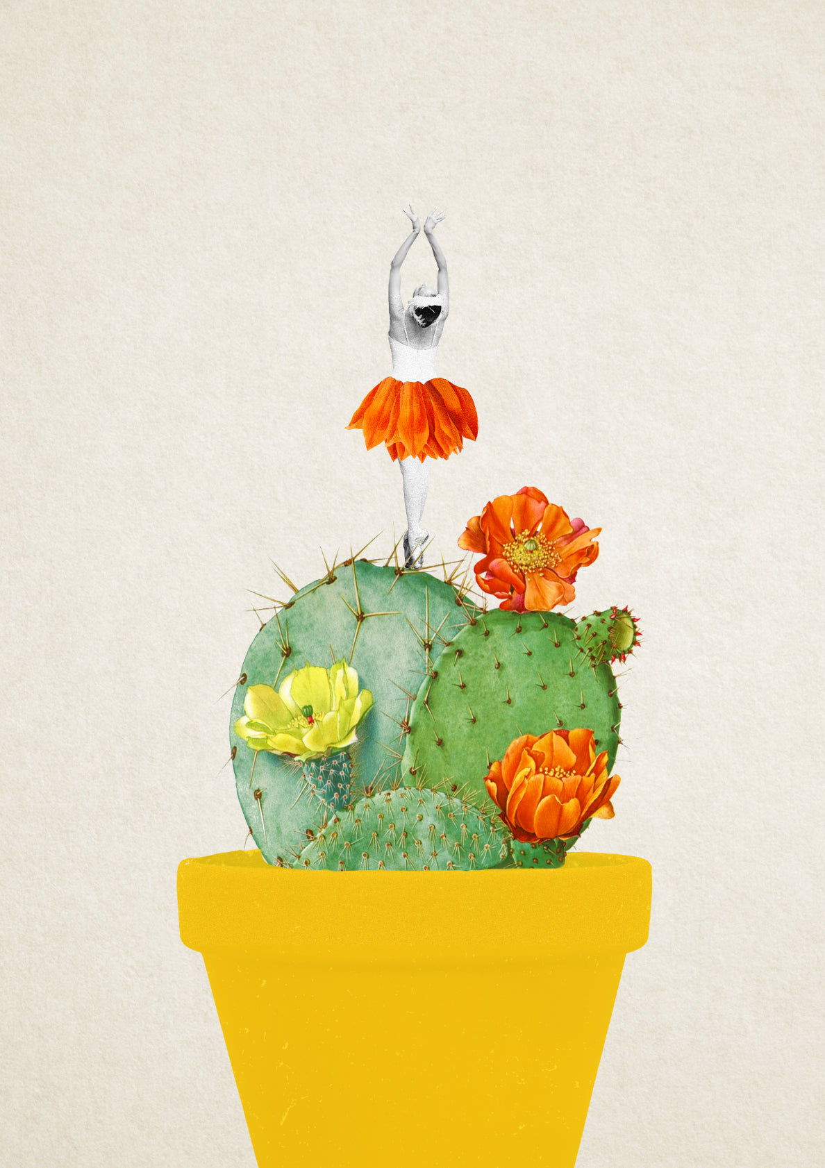 My cactus is for dancing