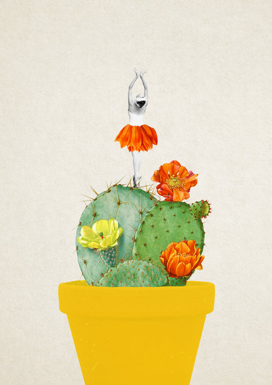 My cactus is for dancing