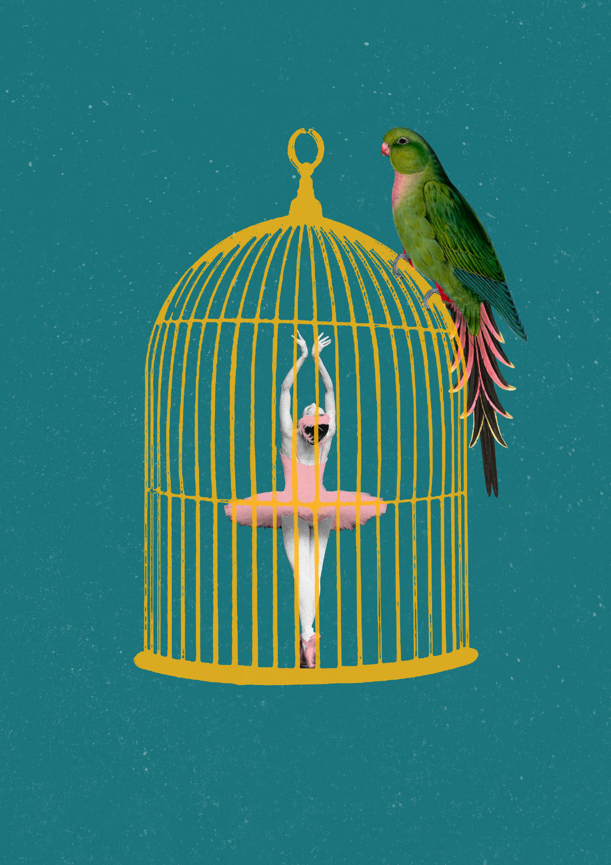 Dance like no bird is watching