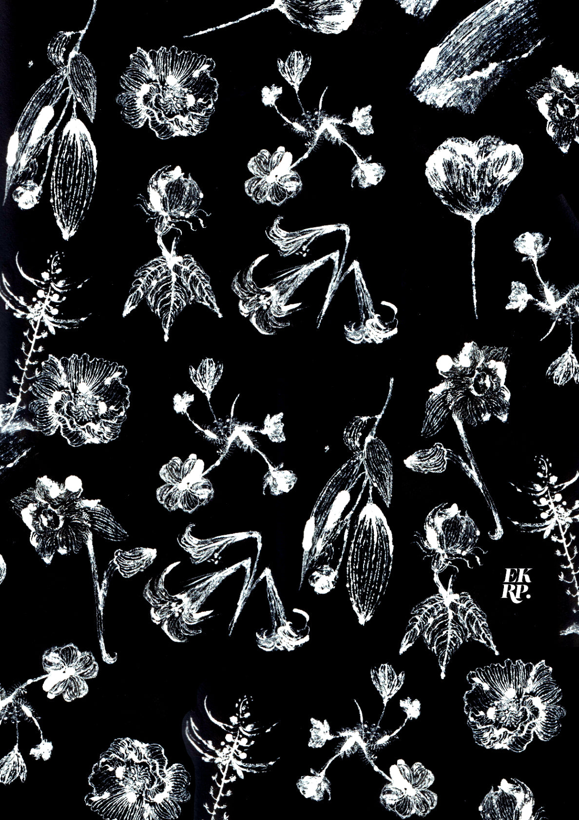 Memorable Japan trip