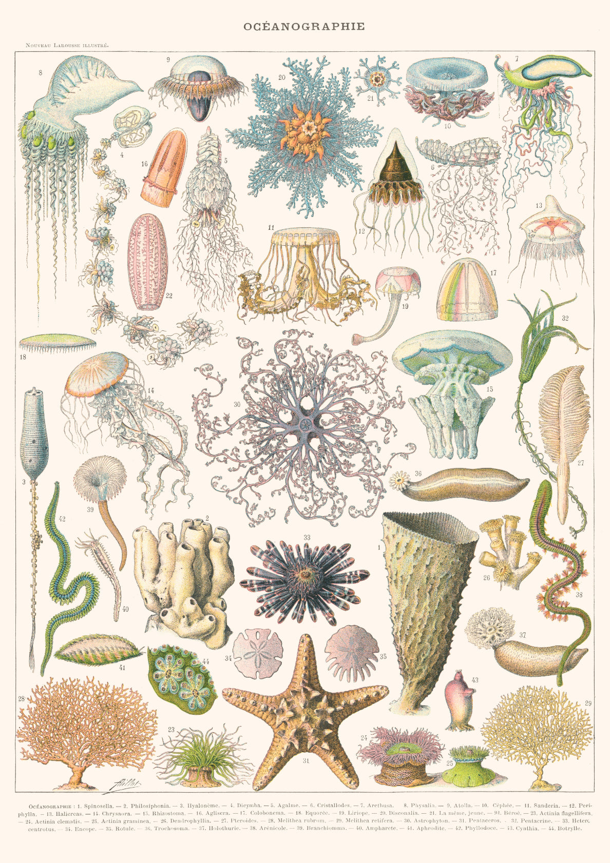 Oceanography - Encyclopedia Larousse