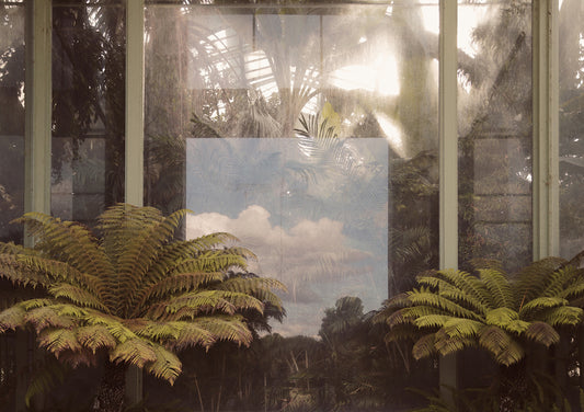 Jardin des Plantes - Paris