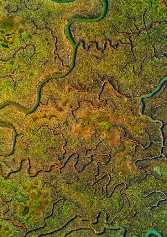 Saltmarshes, Norfolk