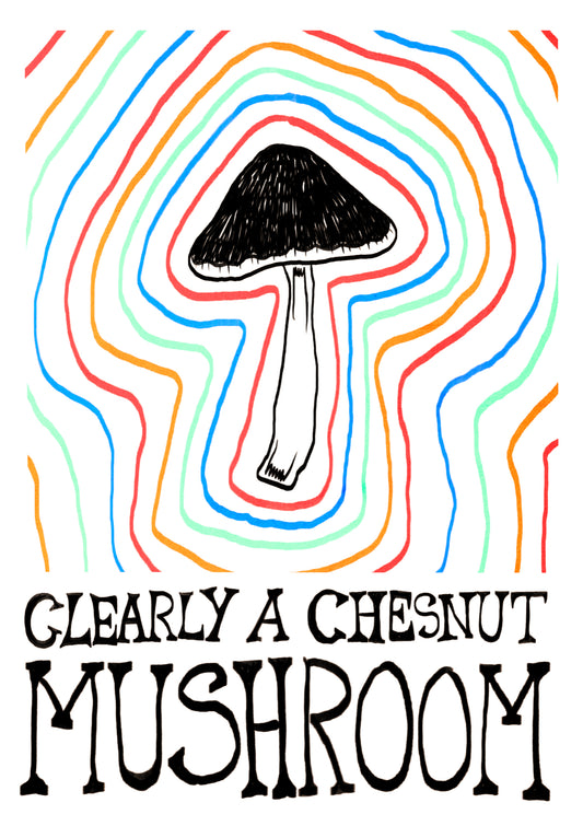 Clearly a chestnut mushroom