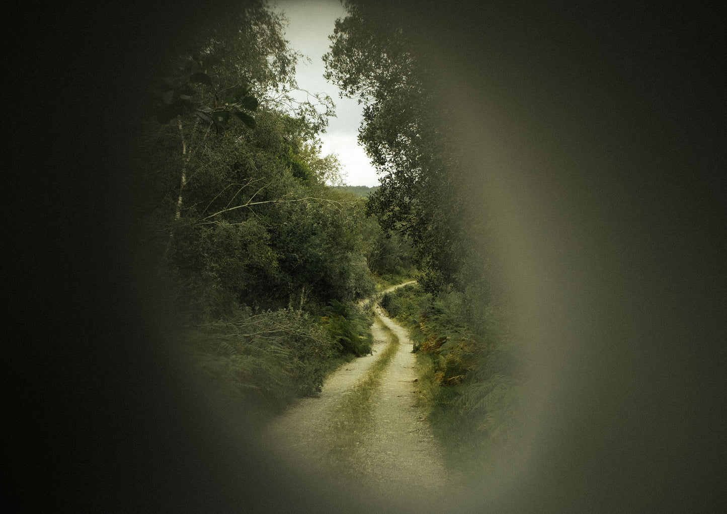 Path through  a pebble