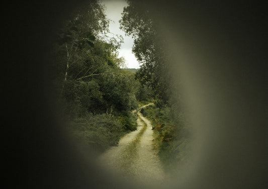 Path through  a pebble