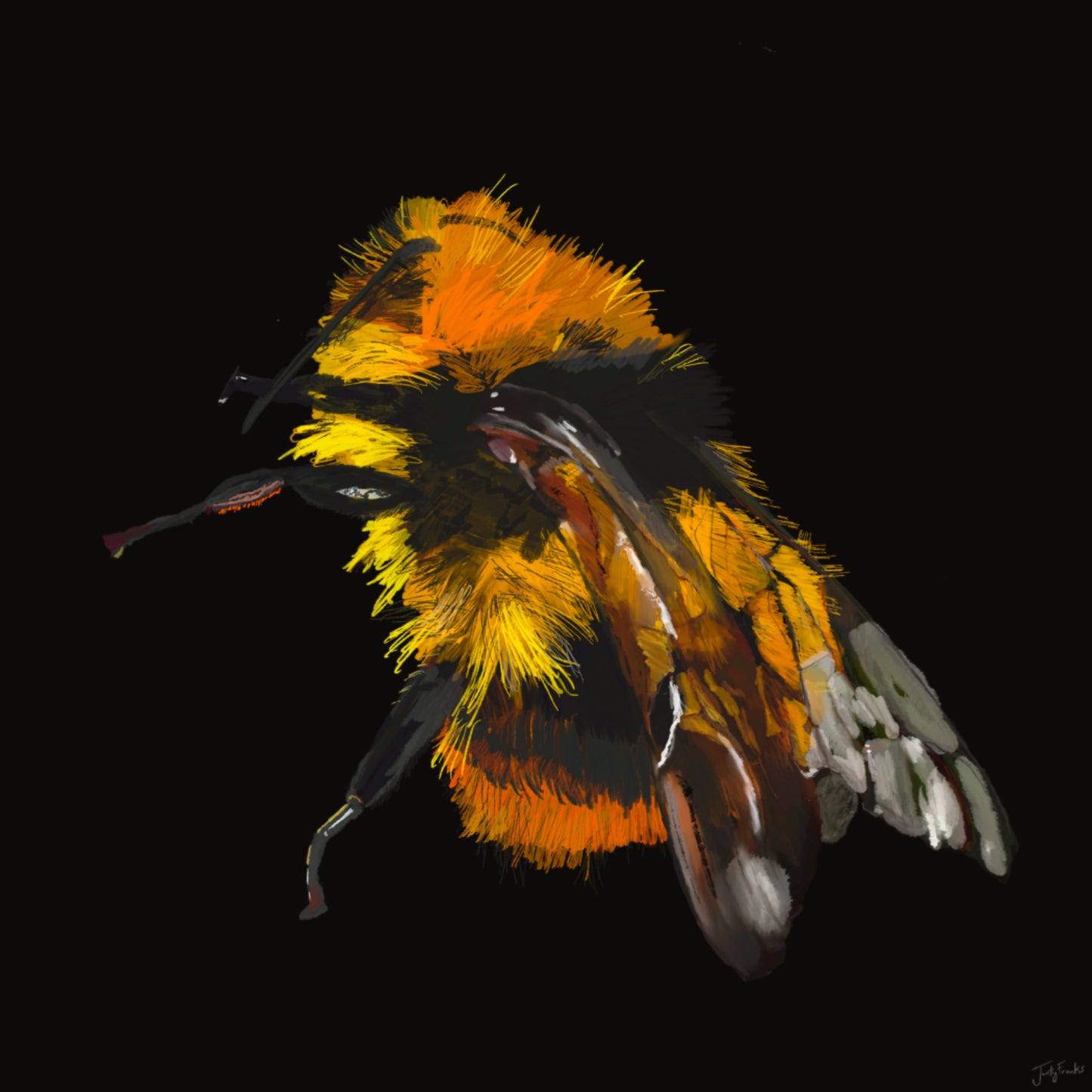 Bee
