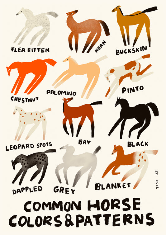 Horse colors & patterns