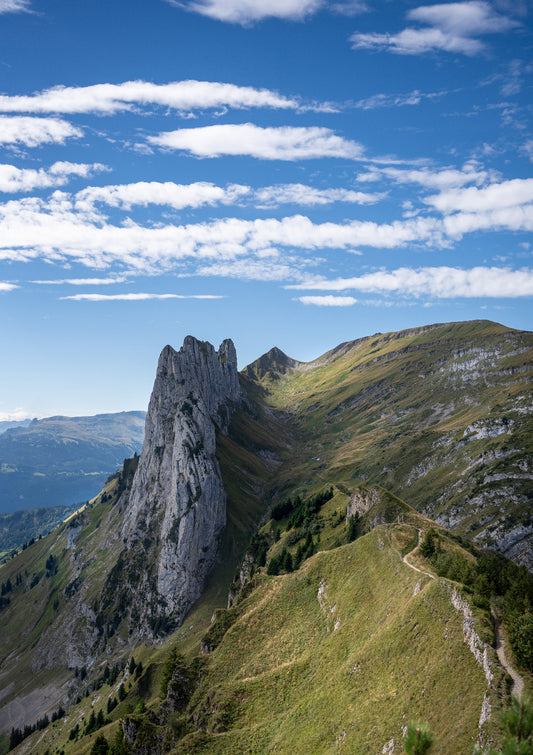 Saxer Lücke, Switzerland