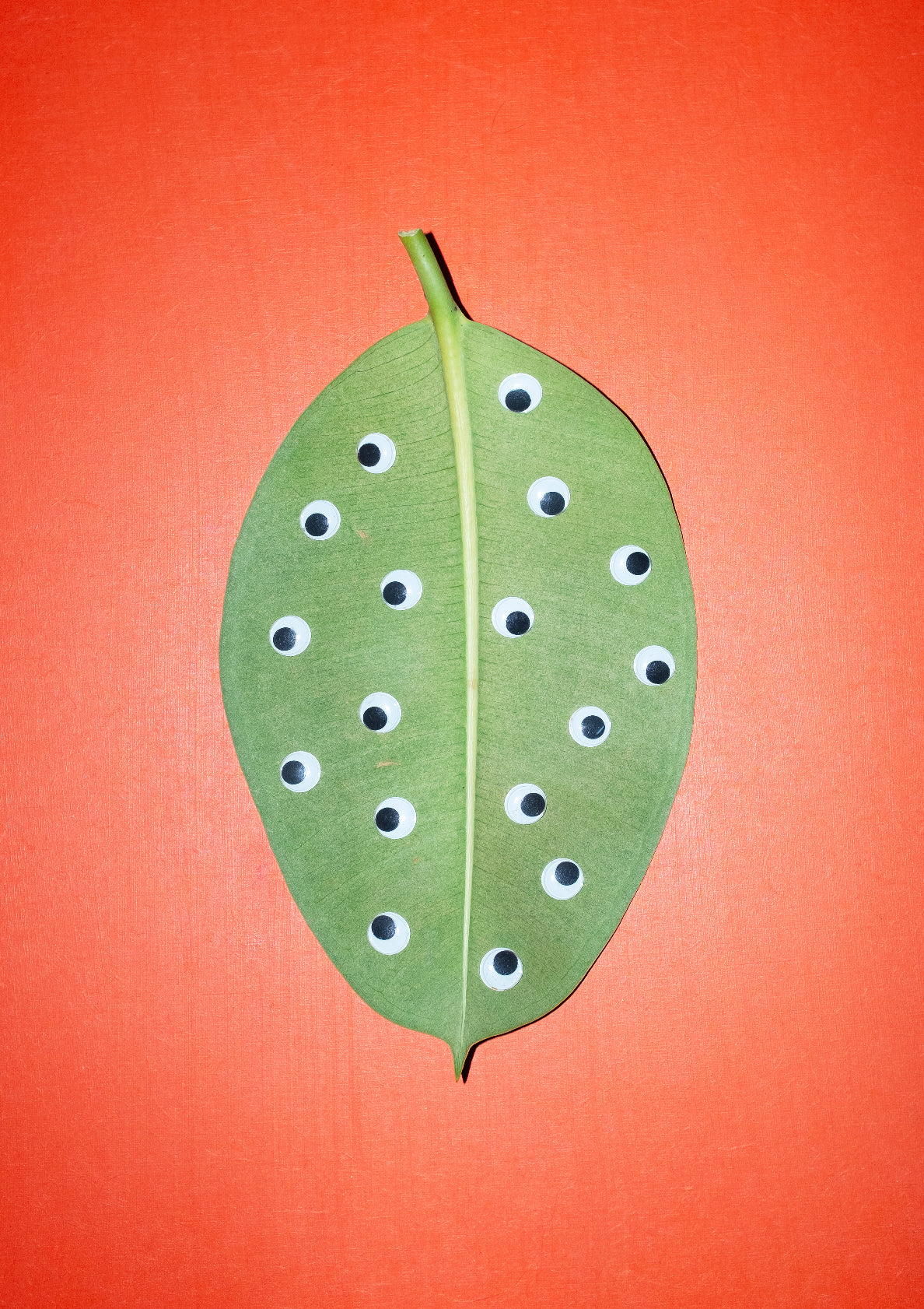 Curious leaf with eyes / pop art style photo print