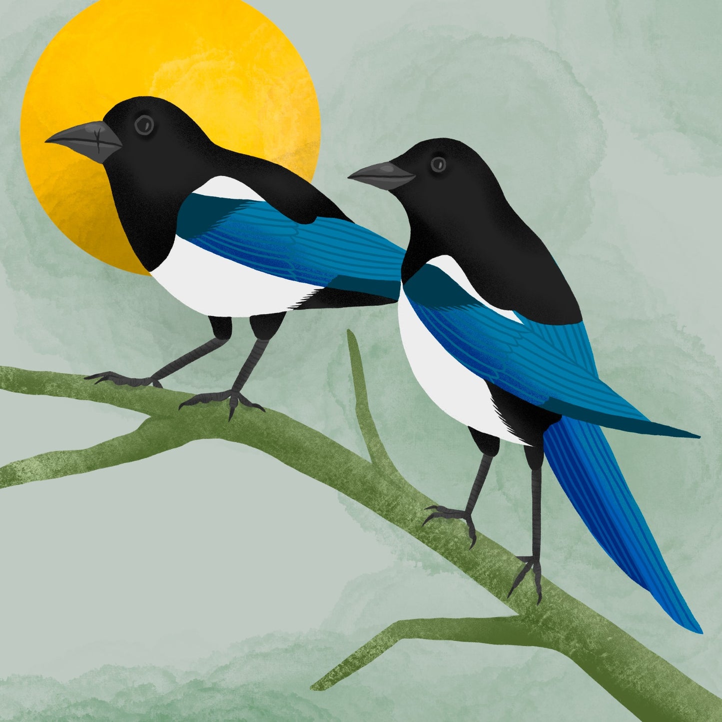 Pair of Magpies