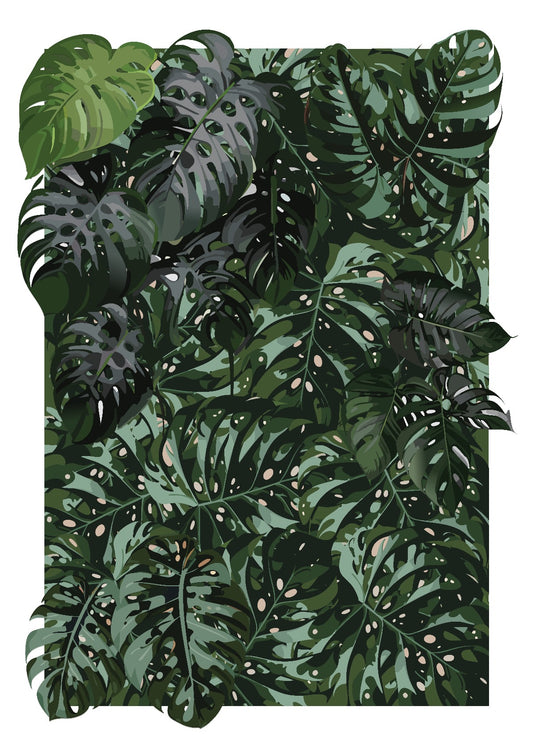 Monstera Deliciosa - Plant Wall