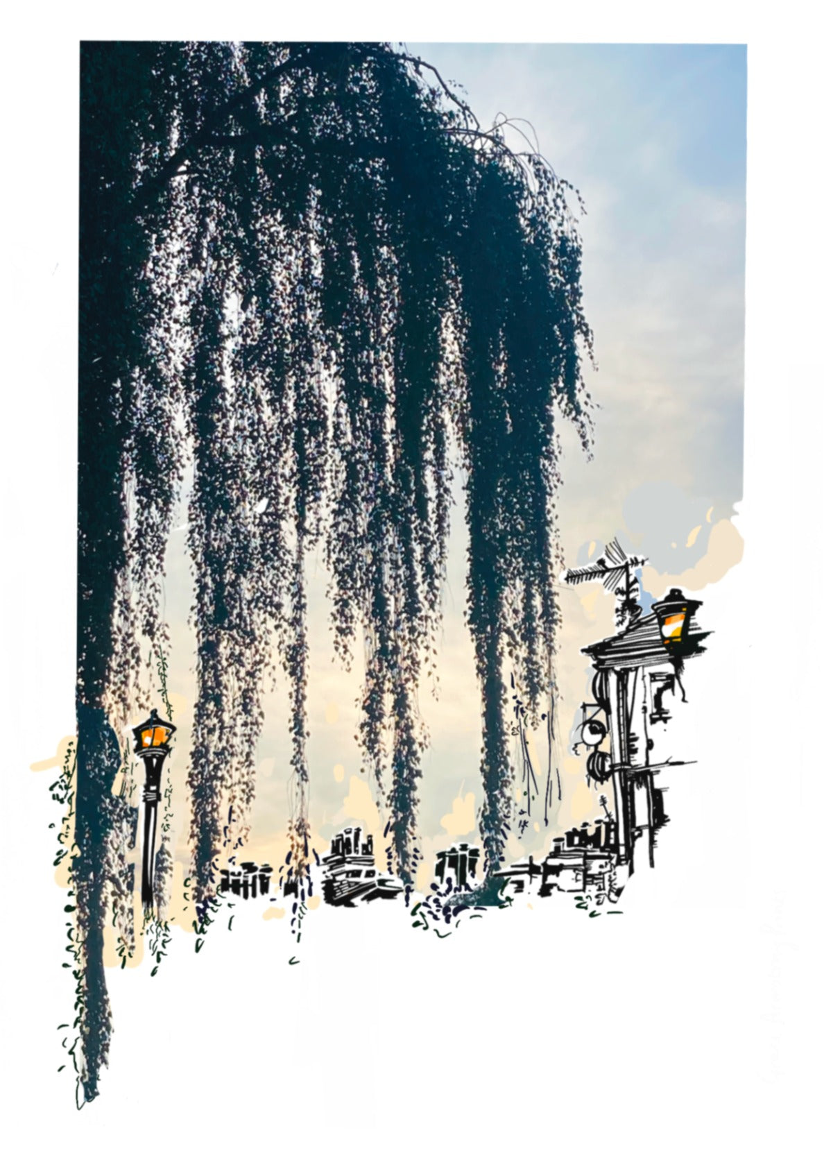 Evening light in Hackney